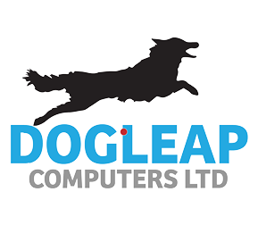dogleapcomputers.com-logo